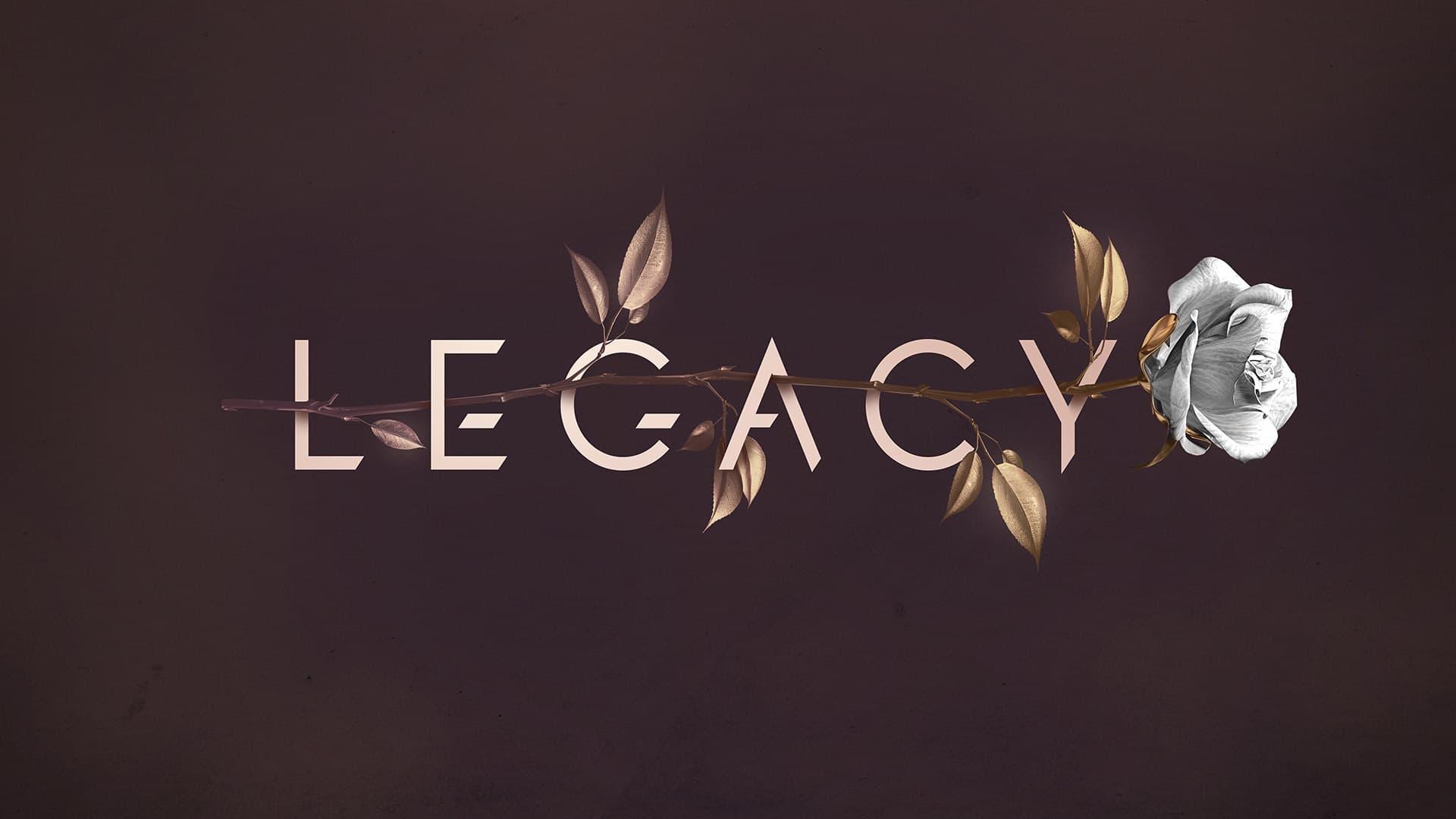 Legacy 004
